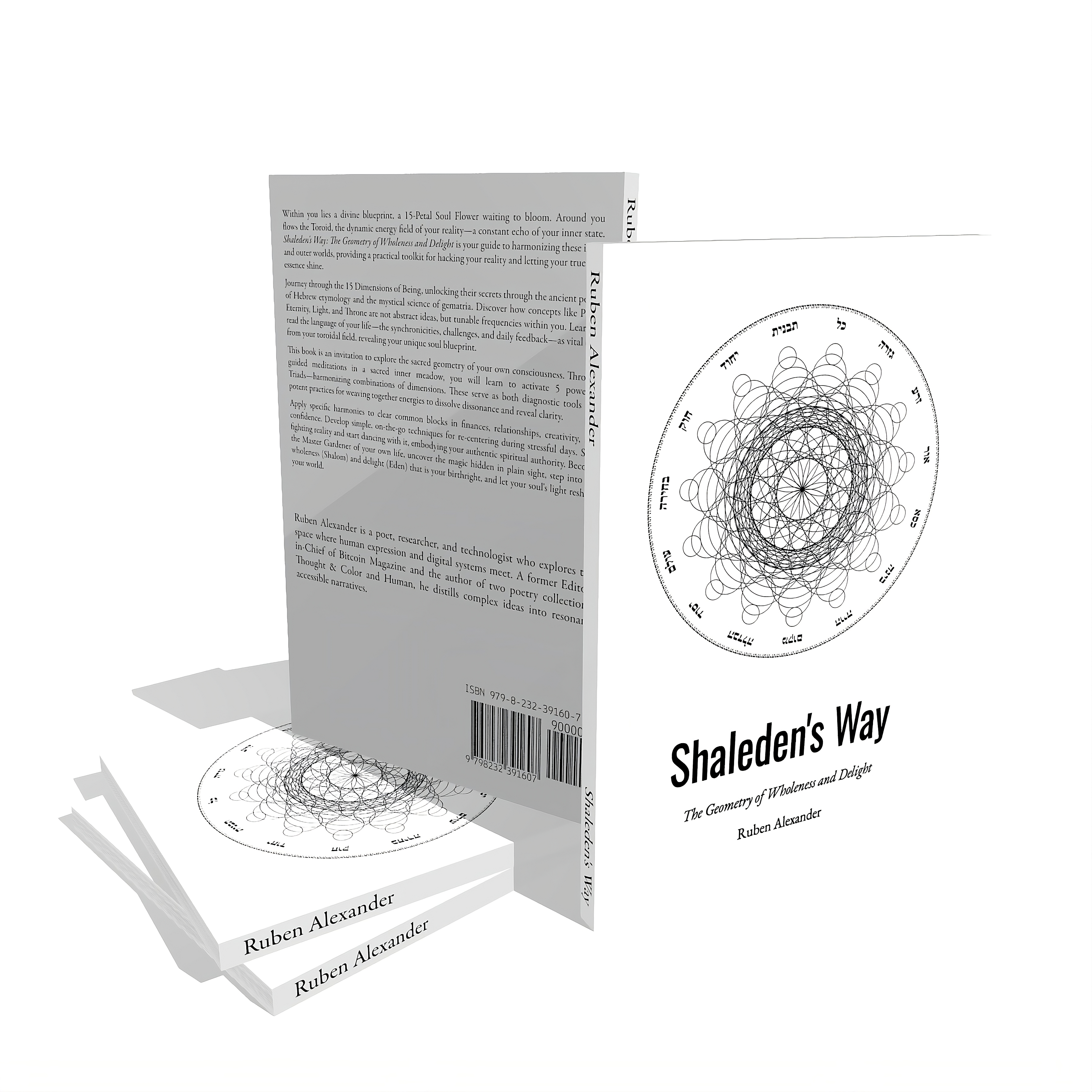 Shaleden's Way Cover